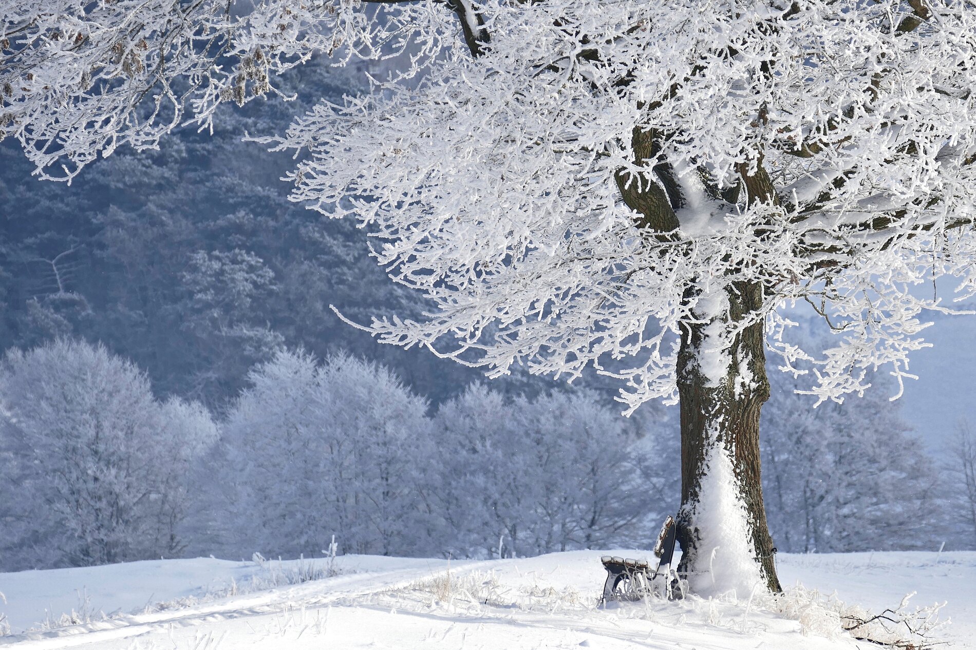 Winterlandschaft | © pixabay gamagapix
