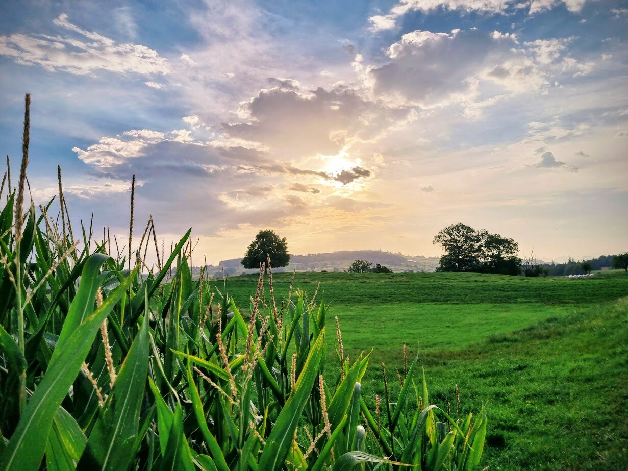 Landschaft Geiss | © Karin Hocher